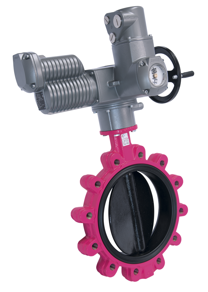 Vapor ASKIA<sup><small>&reg;</sup></small> Serie 21 mit elektrischem Regelantrieb