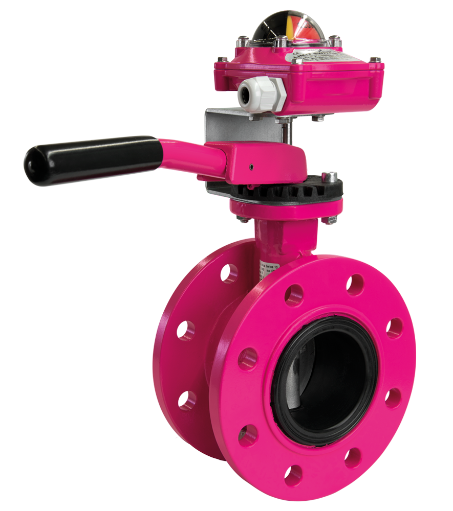 Vapor ASKIA<sup><small>&reg;</sup></small> Serie 30 mit Handhebel, Rasterscheibe und R&uuml;ckmeldeeinheit